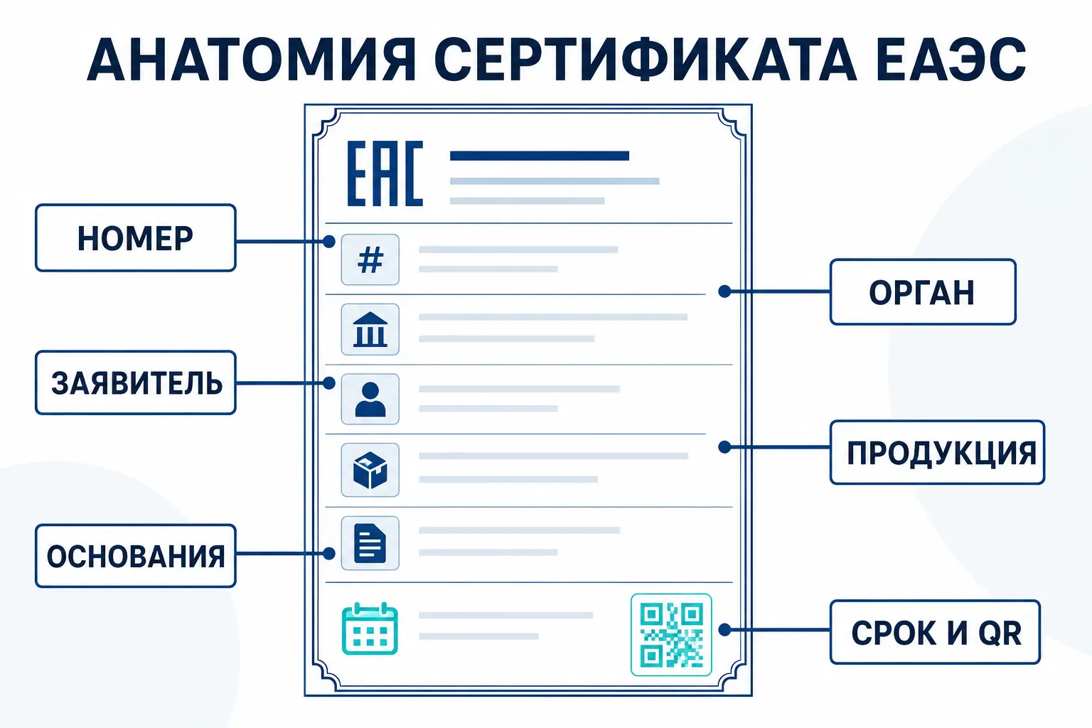 Анатомия сертификата соответствия ЕАЭС: основные поля документа
