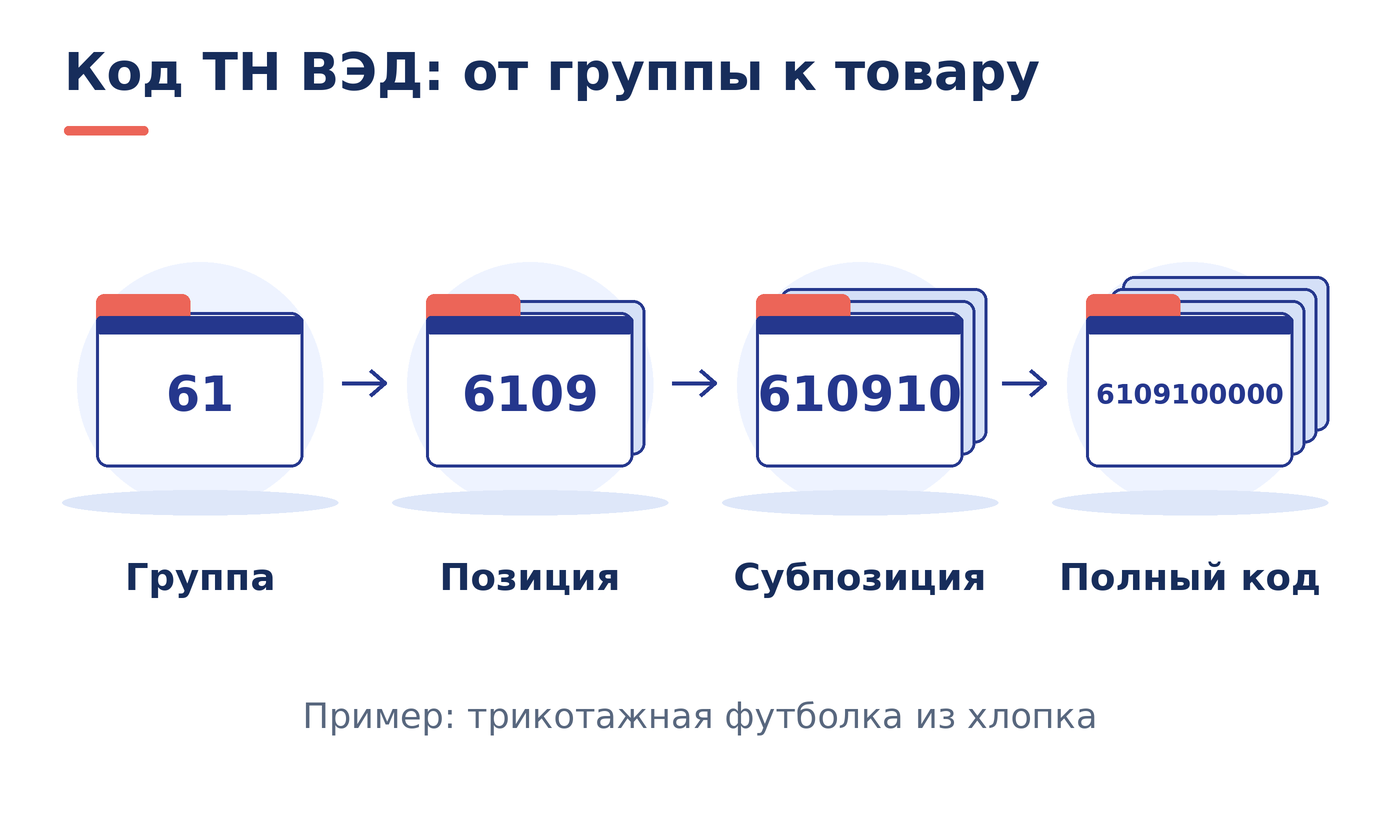 Структура ТН ВЭД: группа 61, позиция 6109, субпозиция 610910 и полный код 6109100000